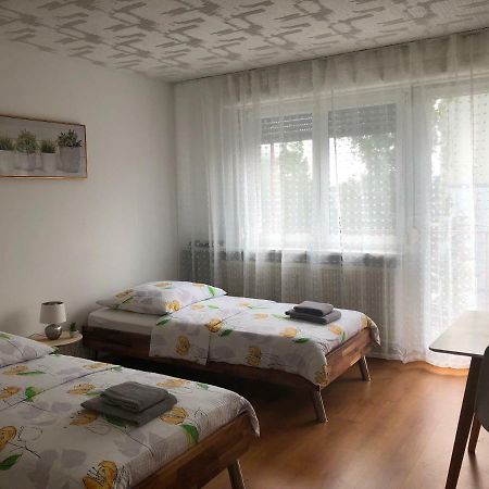 Studios Near Basel Airport Saint-Louis  Eksteriør bilde