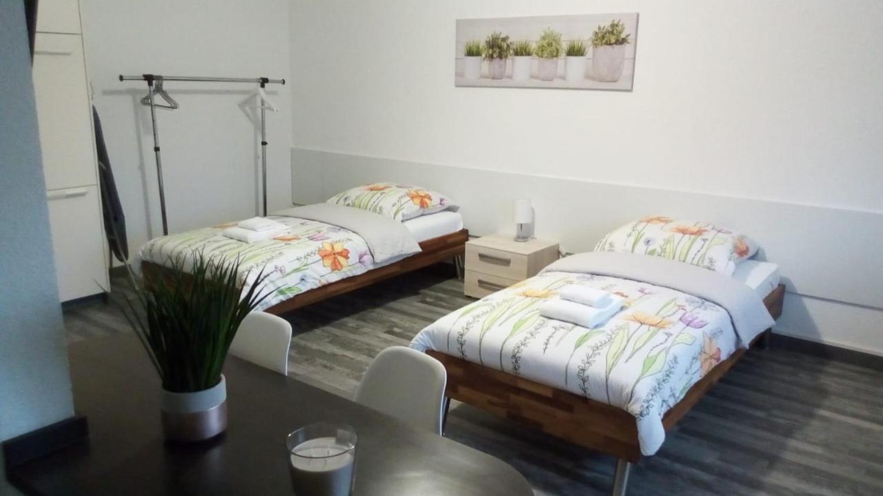 Studios Near Basel Airport Saint-Louis  Eksteriør bilde