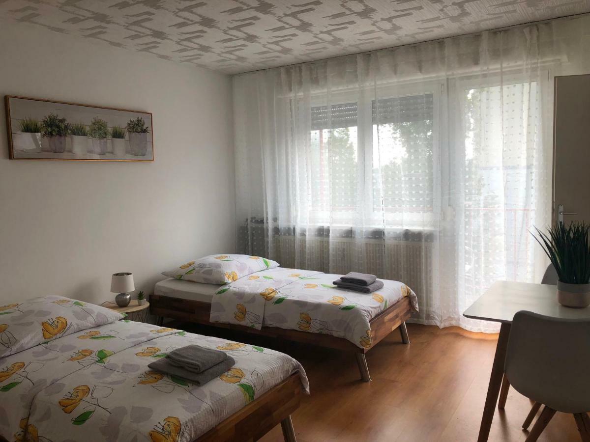 Studios Near Basel Airport Saint-Louis  Eksteriør bilde